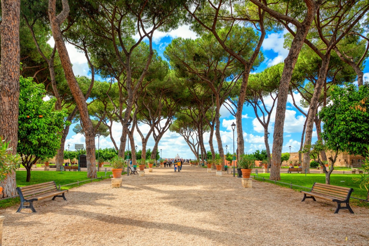 Fußweg im Giardino degli Aranci mit hohen Pinien und Bänken.