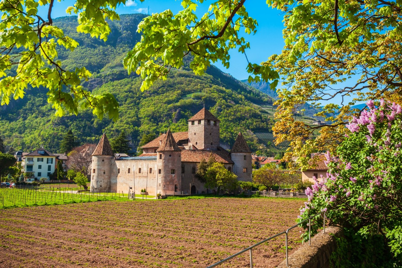 Große, massive Burg mit rotem Ziegeldach, runden Ecktürmen und einem großen, viereckigen Turm im Zentrum, dahinter erhebt sich ein grün bewachsener Hügel. Im Bildvordergrund sind Felder zu sehen, blühende Zweige ragen ins Bild. Hinter der Burg sind vereinzelt Häuser sichtbar.