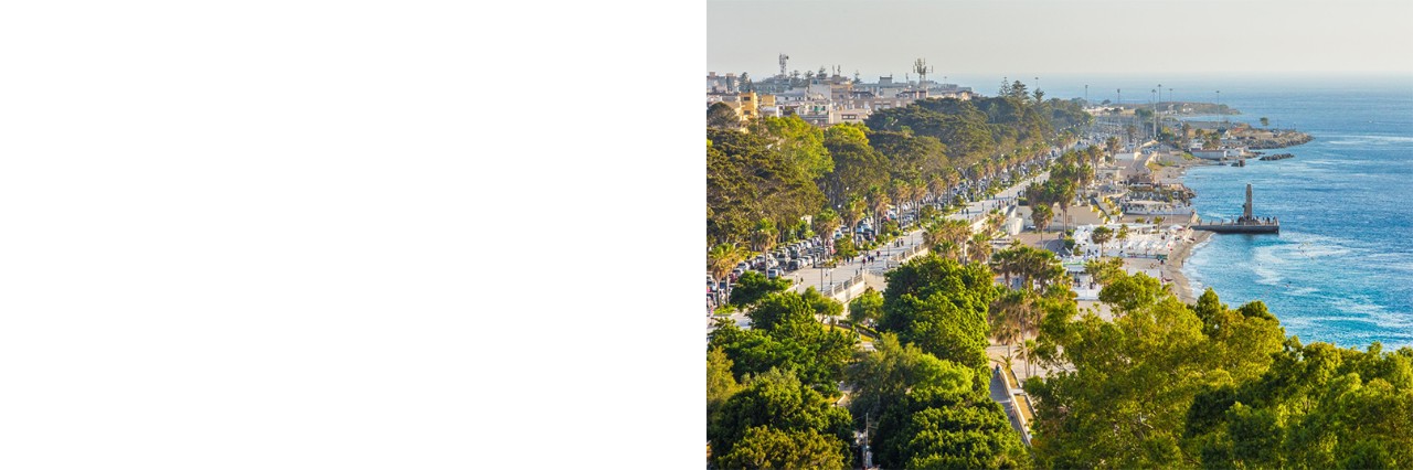 Uferpromenade, die von Palmen und grünen Bäumen gesäumt ist. Rechts im Bild erstreckt sich das blaue Meer, während im Hintergrund Häuser sichtbar sind. 