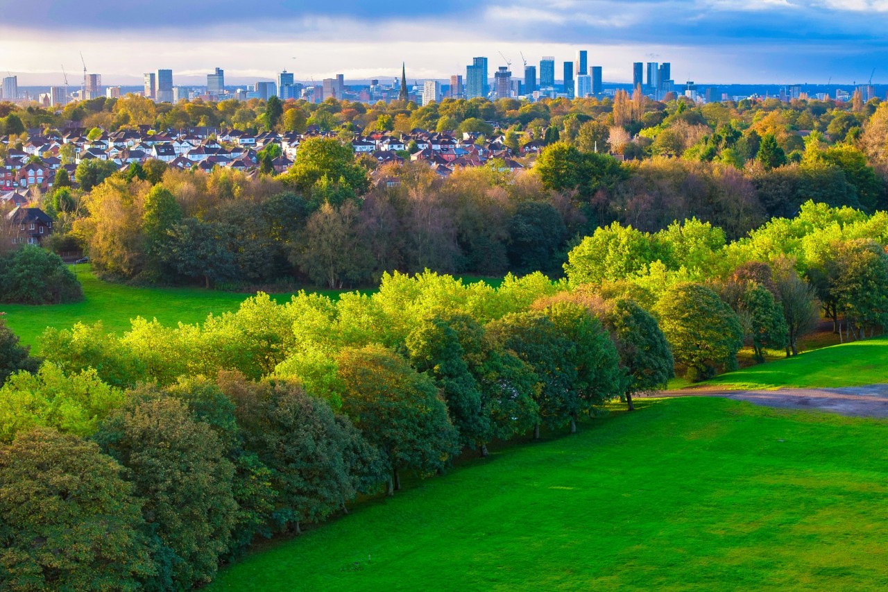 Park, grüne Wiesen, Wald, Baumreihen, Skyline im Hintergrund.