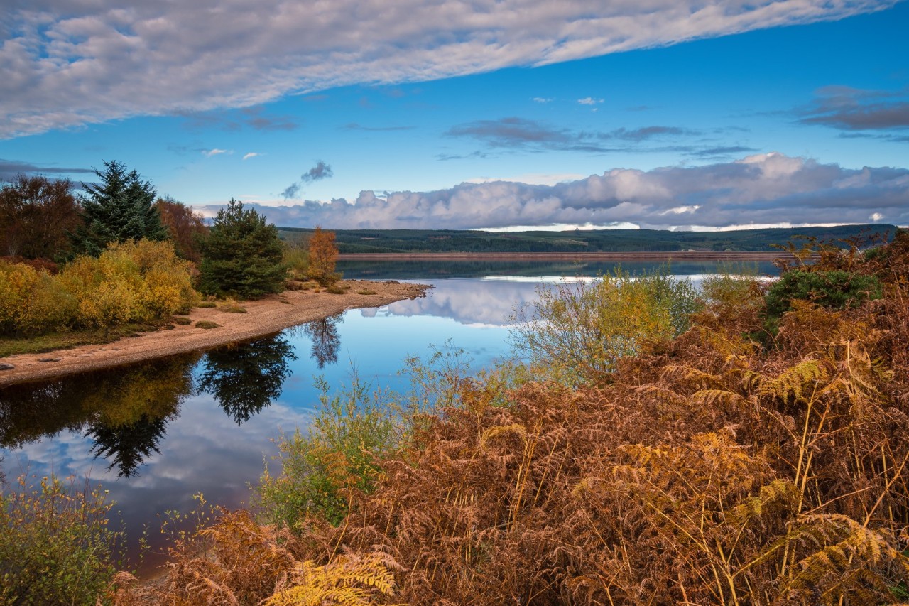 Gewässerarm, der in einen See führt und zu beiden Seiten dicht bewachsen ist. Die Pflanzen und Bäume leuchten in herbstlichen Farben, das Wasser und die Landschaft sind in warmes Licht getaucht.
