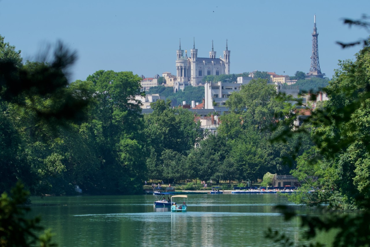 Grüne Uferlandschaft und Basilika Notre-Dame im Hintergrund.