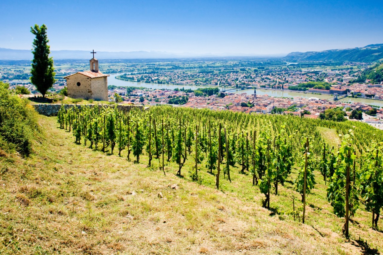 Kleine Kapelle auf Hügel umgeben von Weinreben, mit Flusstal.