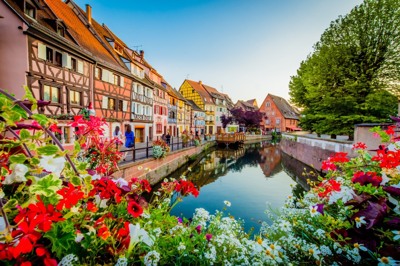 Eine Altstadt mit bunten Fachwerkhäusern, die sich entlang eines ruhigen Kanals erstrecken. Im Vordergrund blühen rote und weiße Blumen. Rechts im Bild ist ein großer Baum zu sehen.