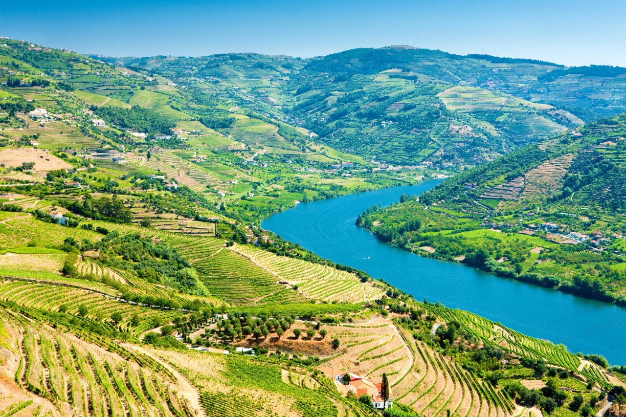 Hügelige Landschaft mit Weinfeldern und dem Fluss Douro in der Mitte.