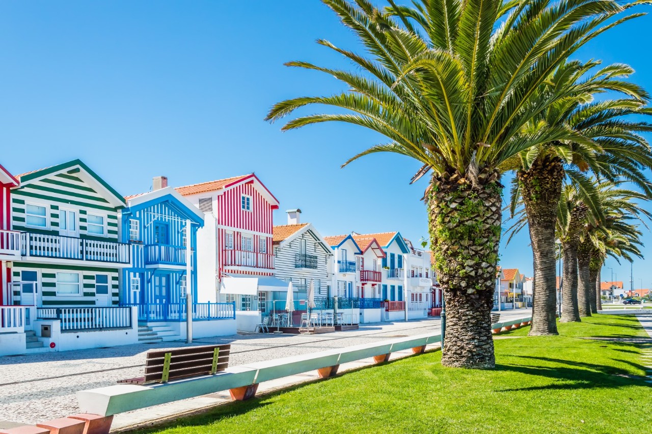 Strandpromenade mit Palmen und bunten Häusern im Hintergrund.
