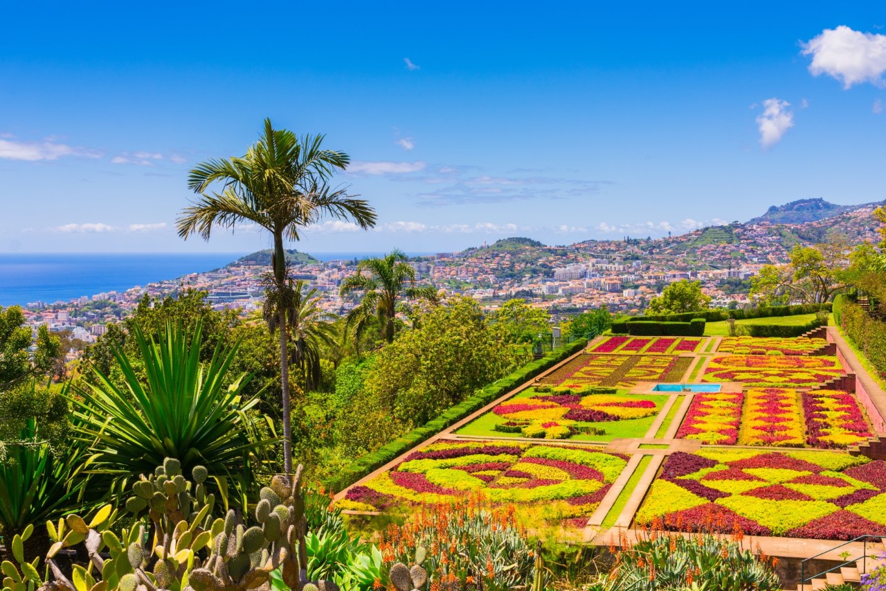 Eine Grünanlage mit Blumenbeeten und Palmen, Stadt und Meer im Hintergrund 