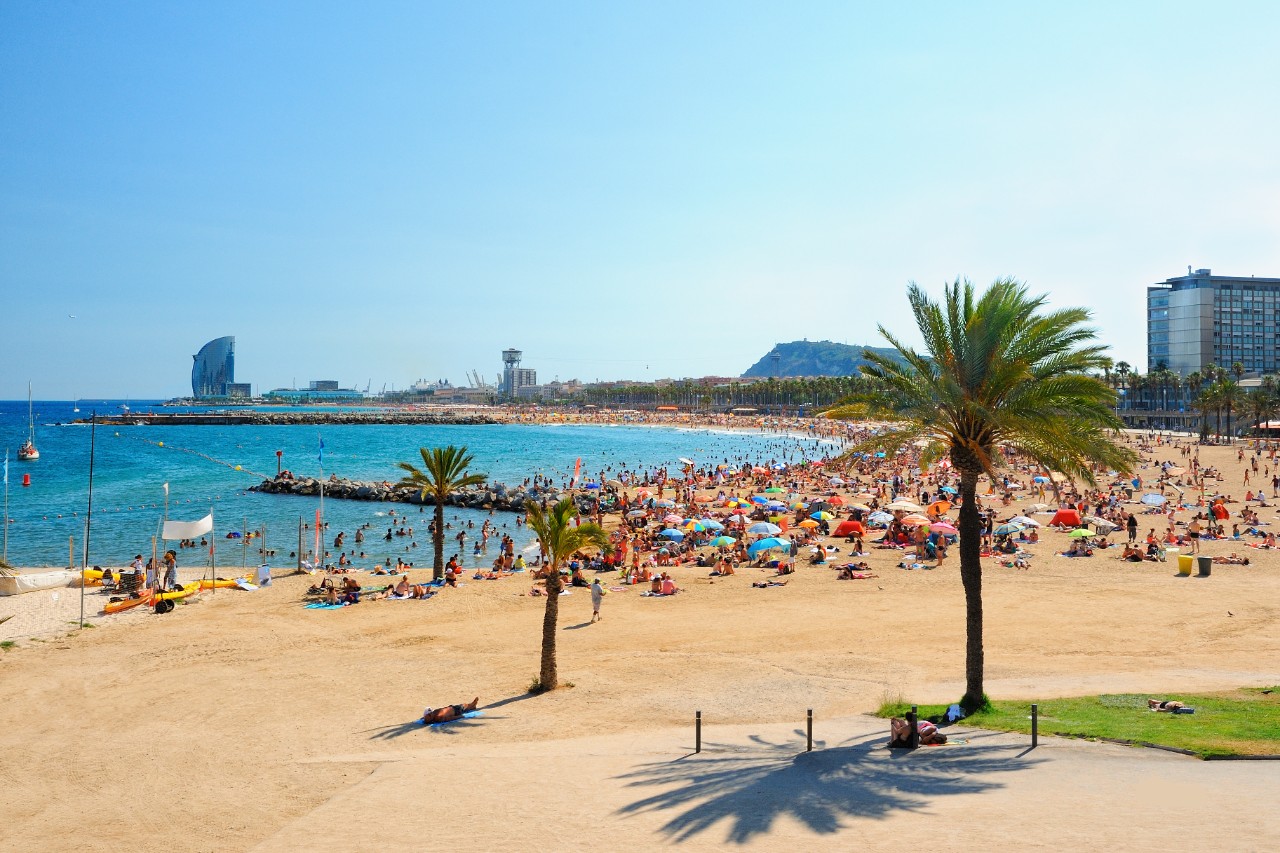 Stadtstrand Barceloneta mit Palmen, Promenade und Menschen am Meer.