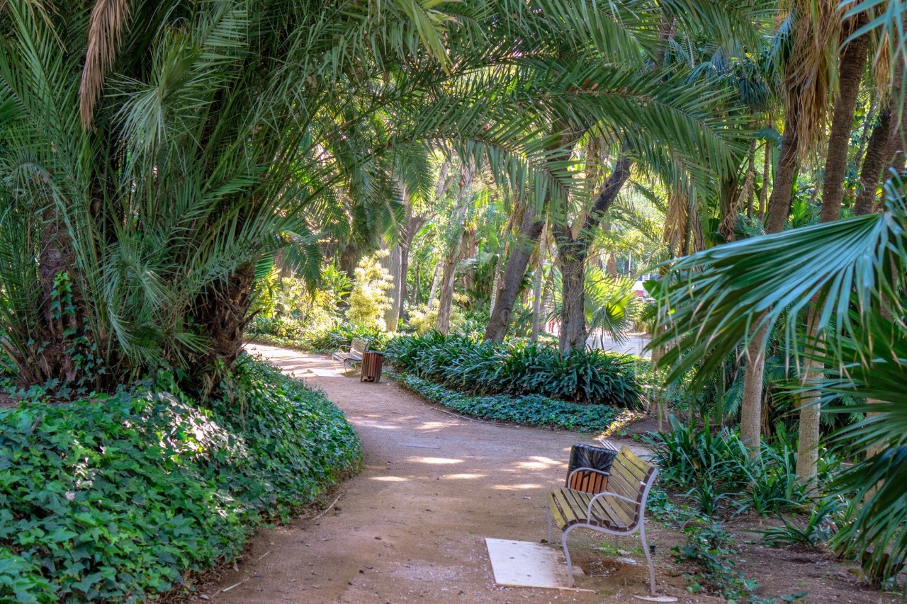 Spazierweg im Paseo del Parque mit üppiger Vegetation und Palmen.