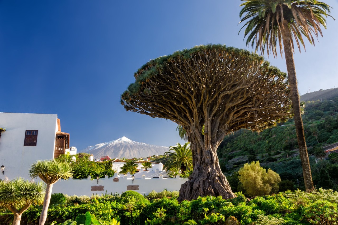 Blick auf den Teide auf Teneriffa