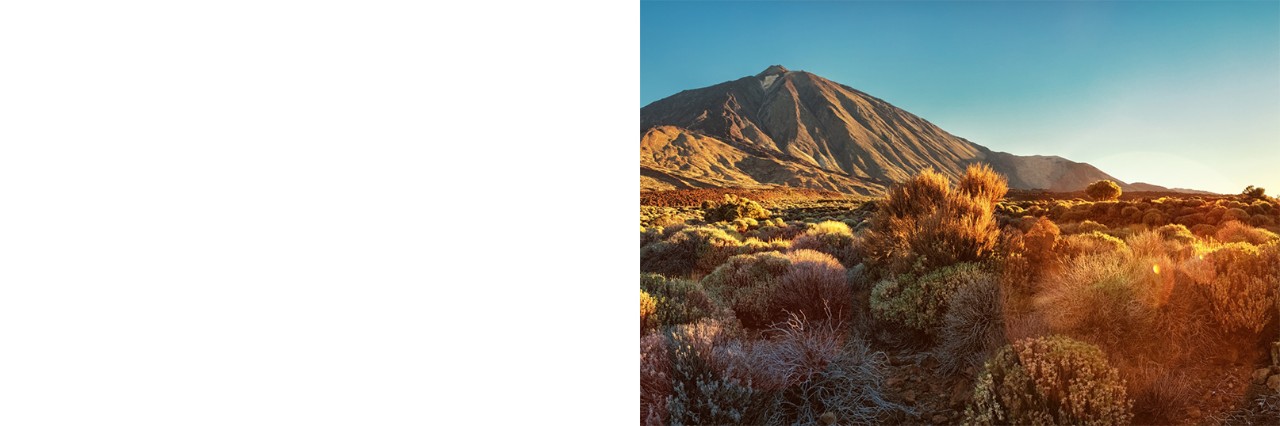Sonnenaufgang am Berg Teide auf Teneriffa, Steppenlandschaft, kleine Gewächse, Hügel 