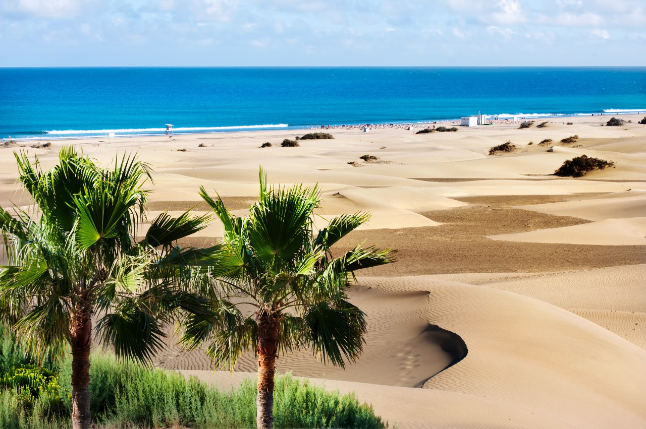 Wanderdünen von Maspalomas mit weitem Sandpanorama unter blauem Himmel.