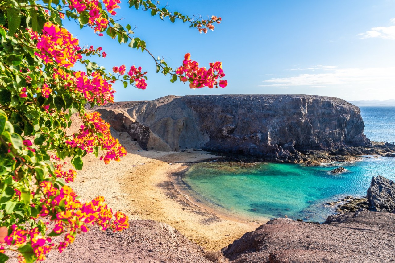 Geschützte Bucht mit gelbem Sandstrand und dunklen Felsen auf Lanzarote.