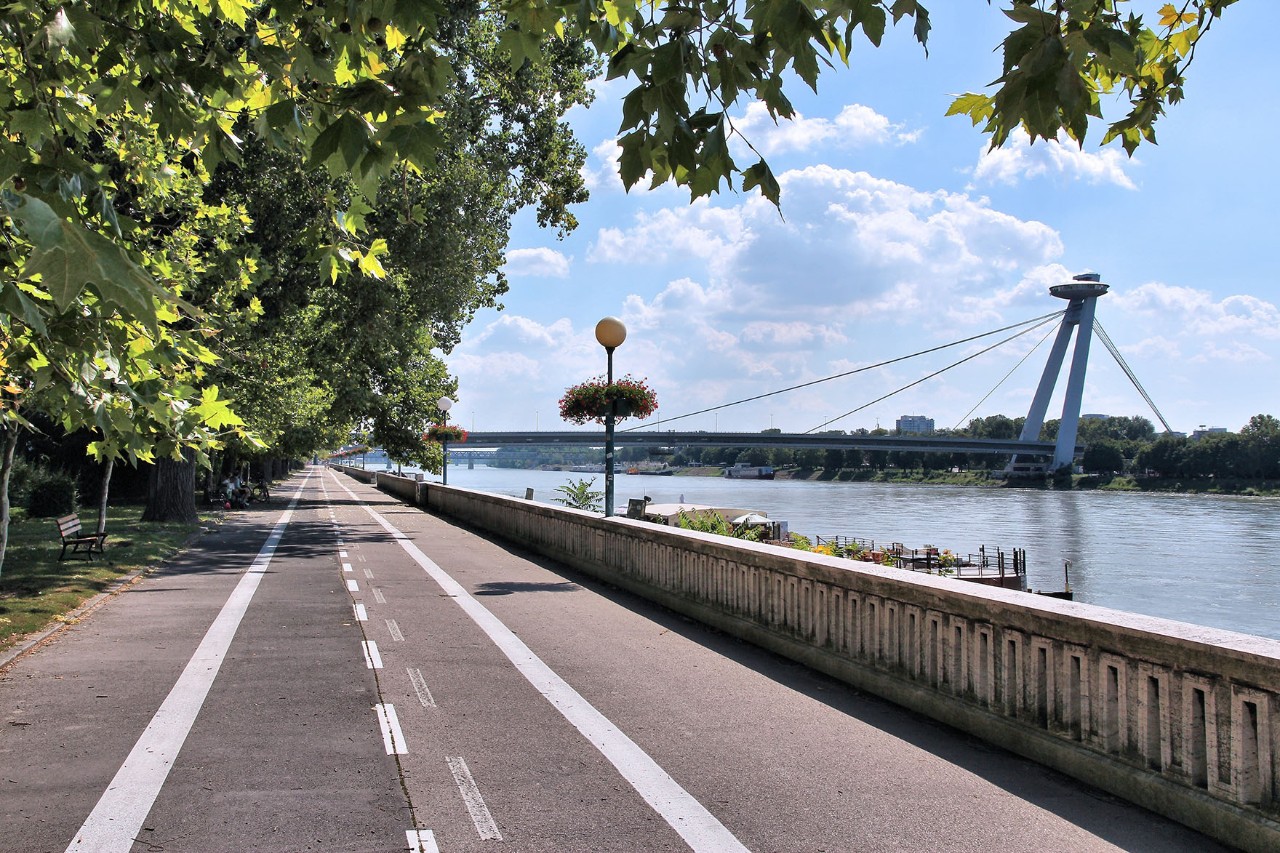 Ein Radweg entlang der Donau mit Blick auf die Flusslandschaft. Im Hintergrund ist die SNP-Brücke und der UFO-Turm zu sehen.
