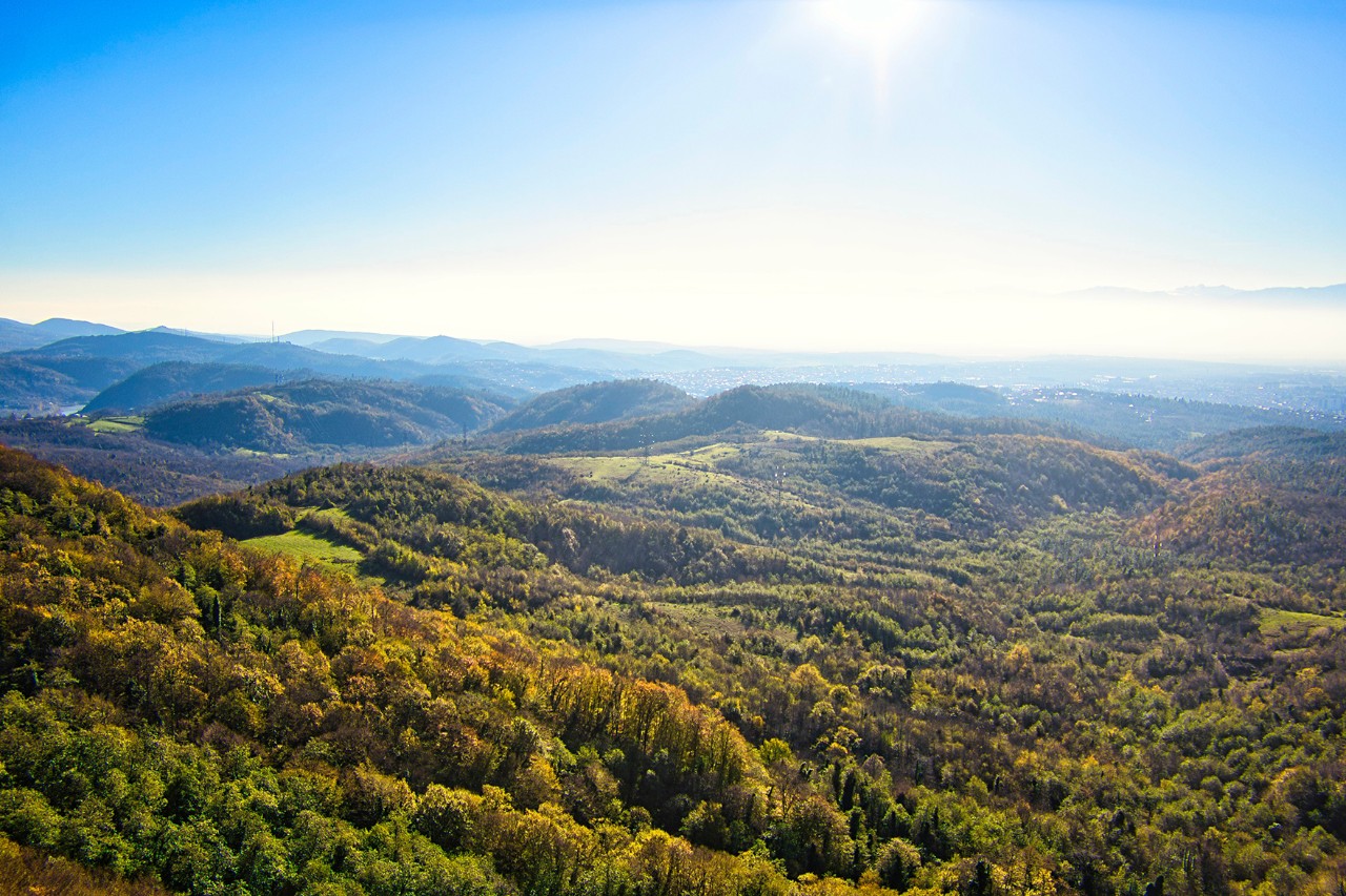 Eine weitläufige, hügelige Landschaft mit dichten Wäldern und grünen Lichtungen. In der Ferne sind Berge im Dunst zu erkennen. 