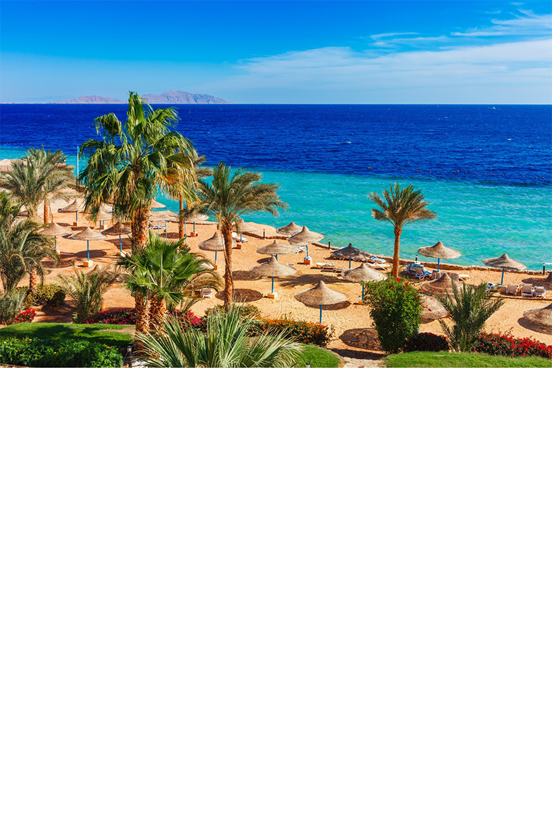 Strand in Hurghada mit Palmen, Sonnenliegen und Strohschirmen, Meer im Hintergrund 