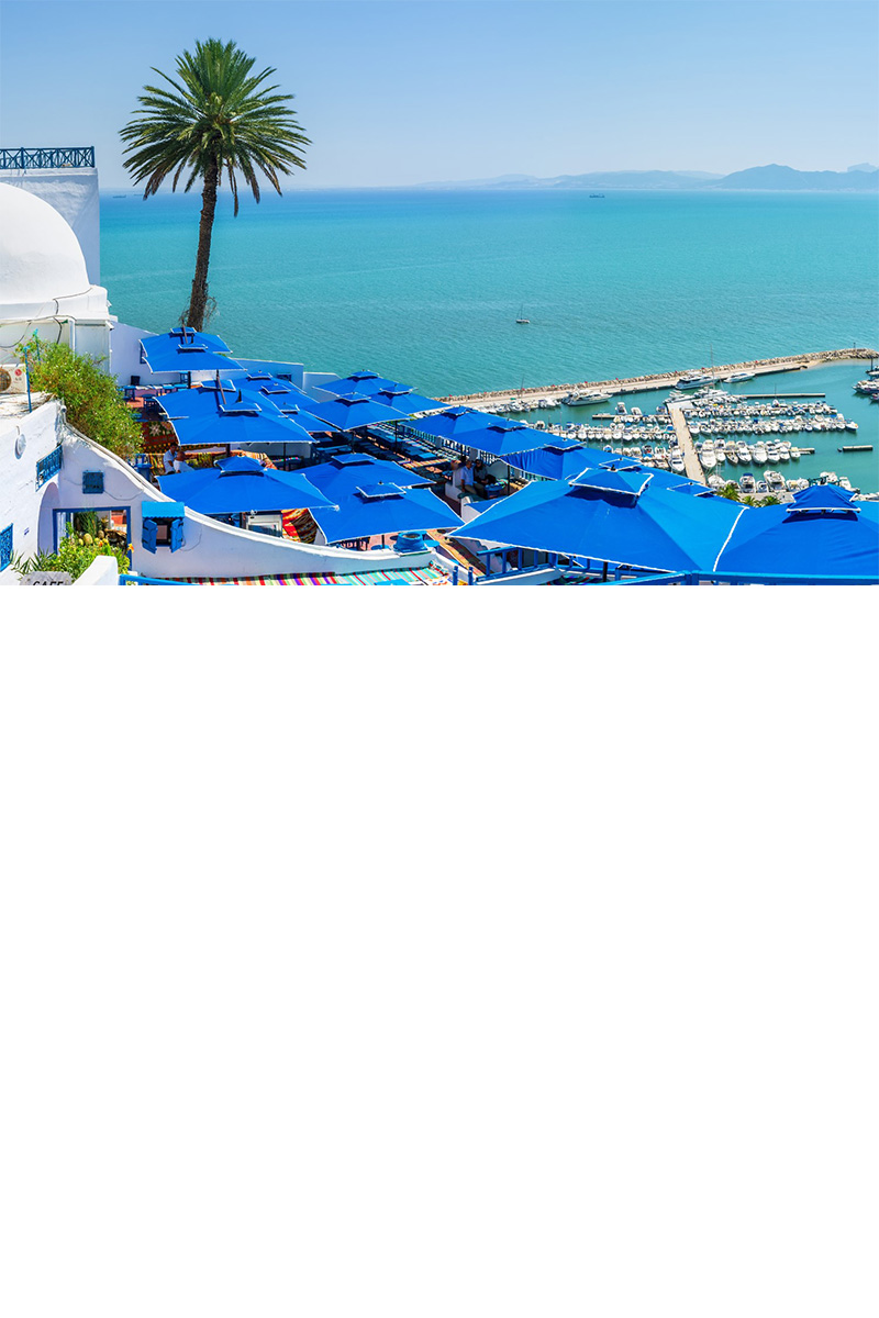 Küstenort mit weiß getünchten Gebäuden, Palmen und blauen Sonnenschirmen. Im Hintergrund befindet sich das Meer mit einem kleinen Hafen und einer Gebirgskette am Horizont. 