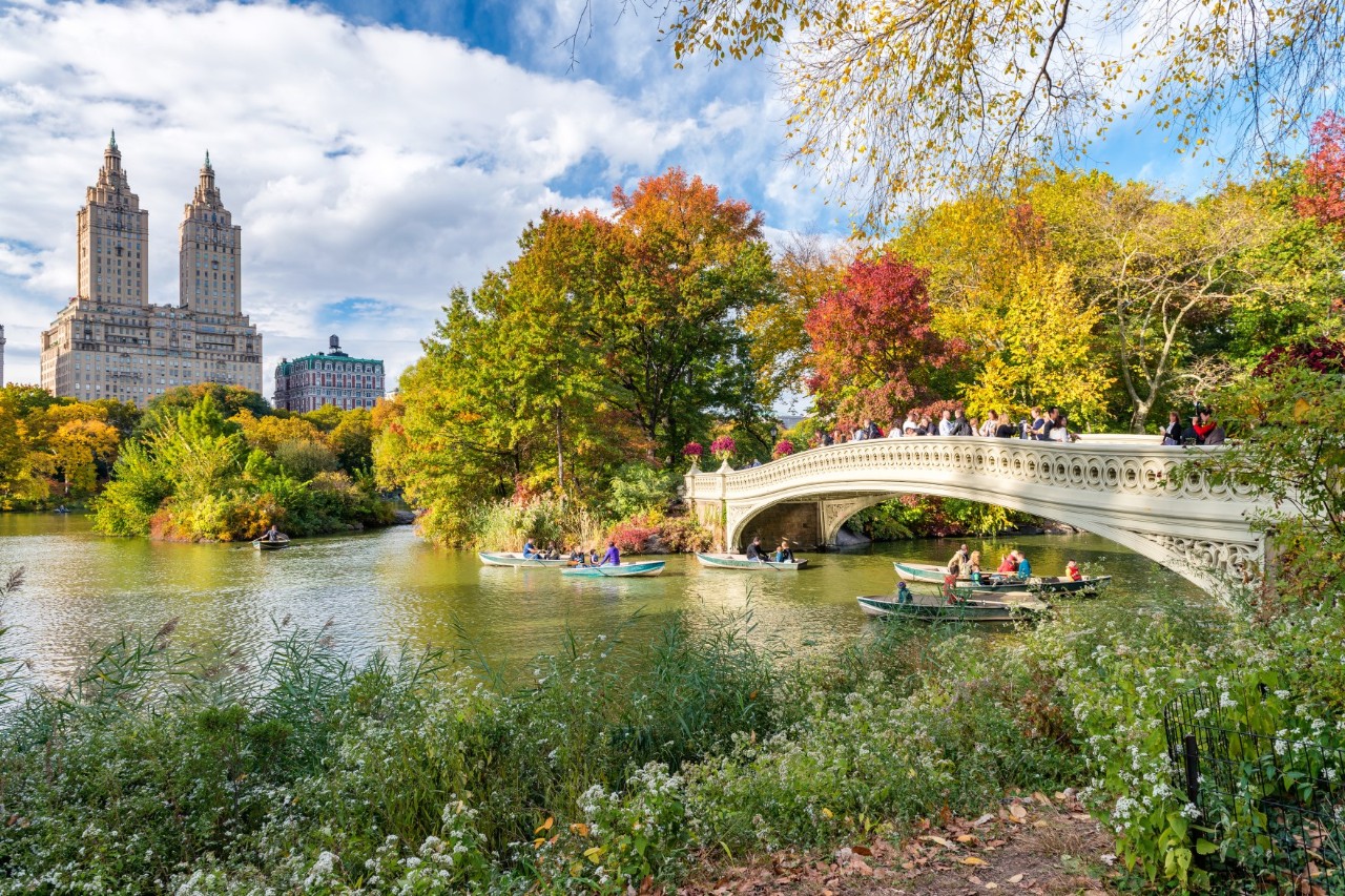 Spaziergänger im Central Park umgeben von jahreszeitlicher Natur.