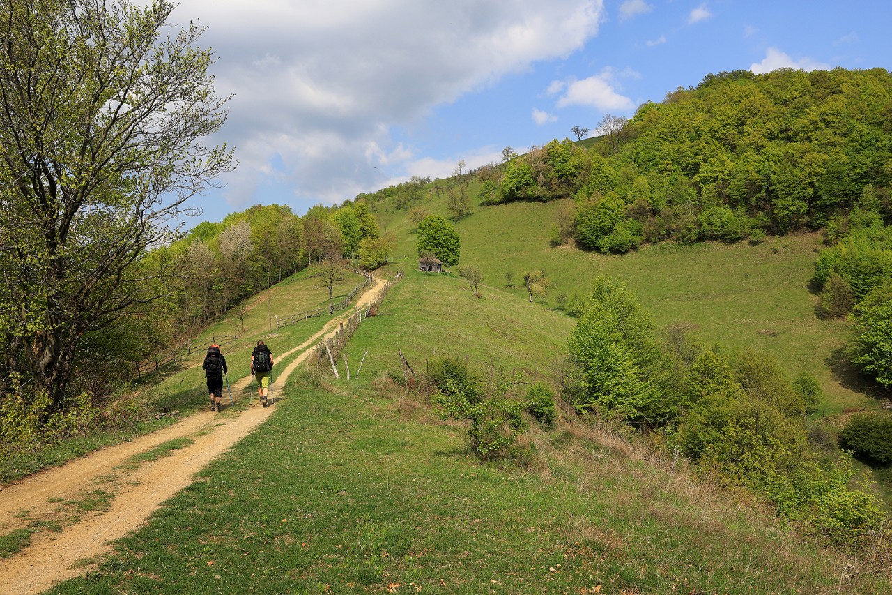 Zwei Personen gehen auf einem Weg durch grüne Hügel und Wiesen unter blauem Himmel.