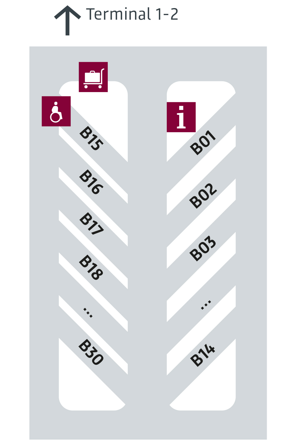 Lageplan des Busparkplatzes P5 mit Parkbuchten B01 bis B30. Auf der linken Seite befinden sich die ungeraden Nummern (B15 bis B30), auf der rechten Seite die geraden Nummern (B01 bis B14). Symbole markieren einen barrierefreien Bereich, eine Gepäckzone und eine Informationseinrichtung. Ein Pfeil oben zeigt die Richtung zu Terminal 1–2.