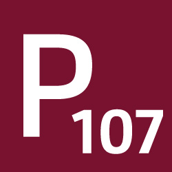 Pikto P107