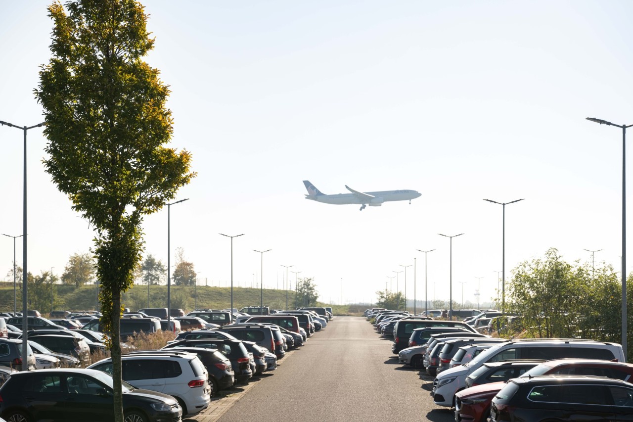 Cars in parking lot P107. Behind them, a plane is landing. To the left, a tree.