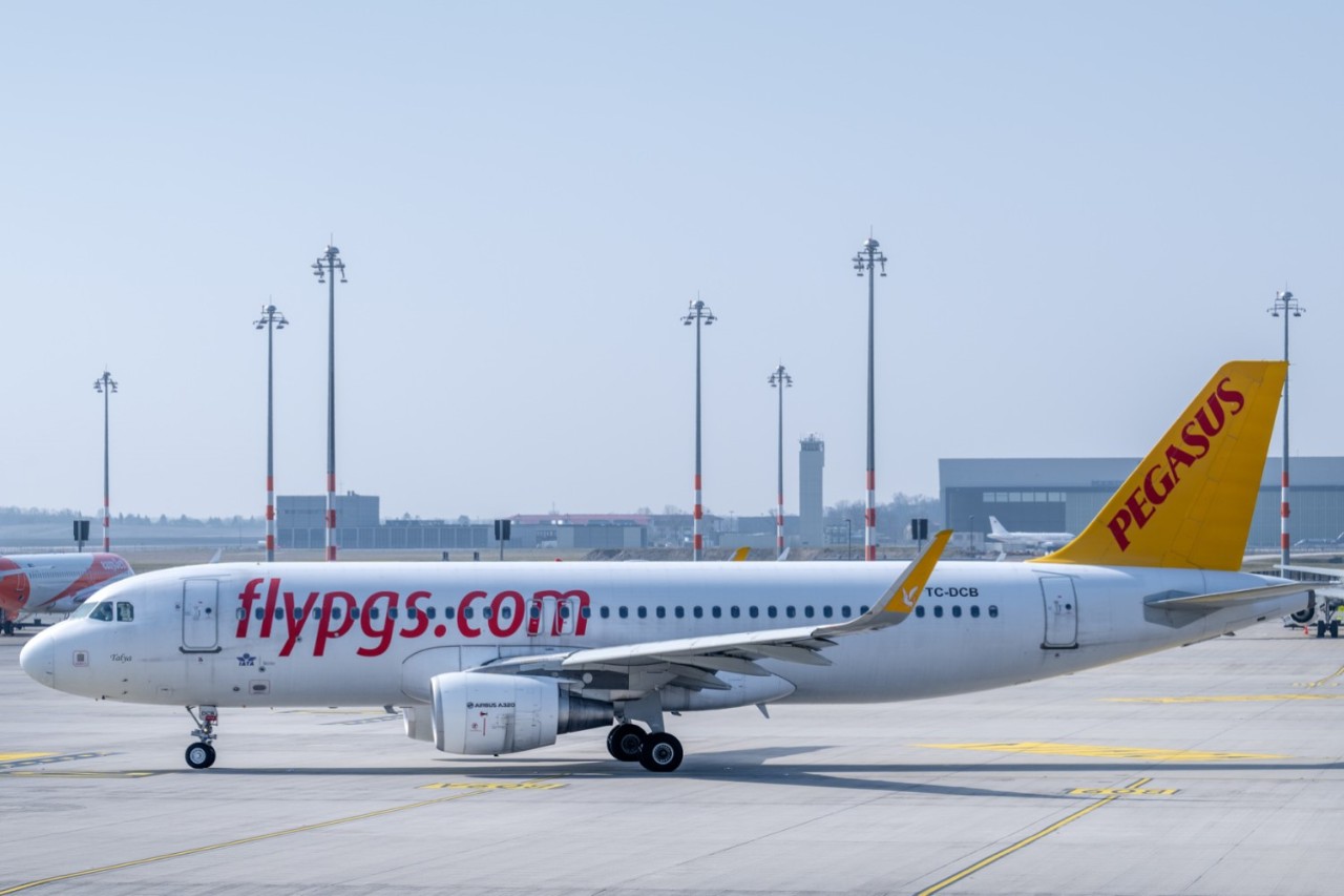 Pegasus on the apron