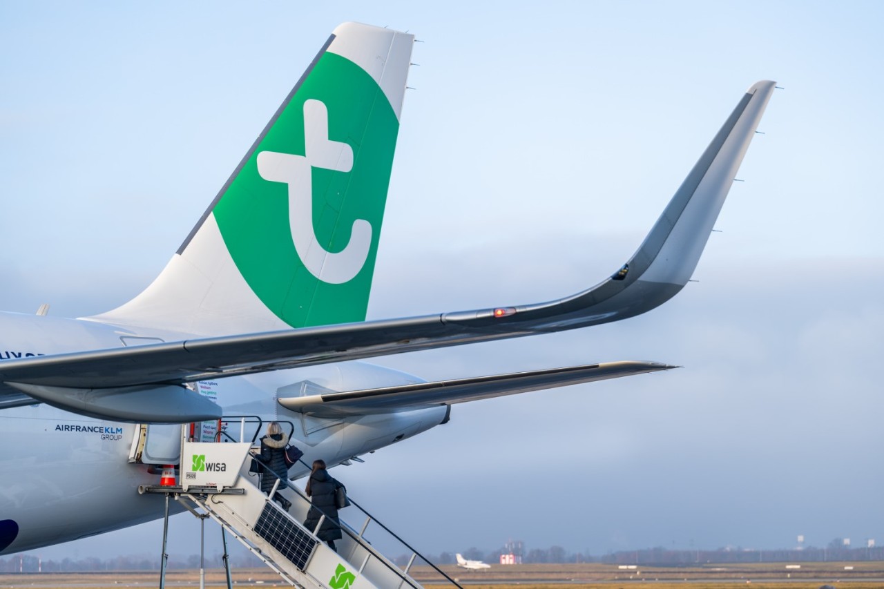 Tail of a Transavia