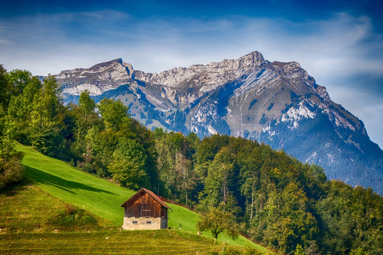 A massive mountain in summer with a green meadow and dense forest in front of it. There is a small hut with a brown wooden roof on the meadow in front of the forest.