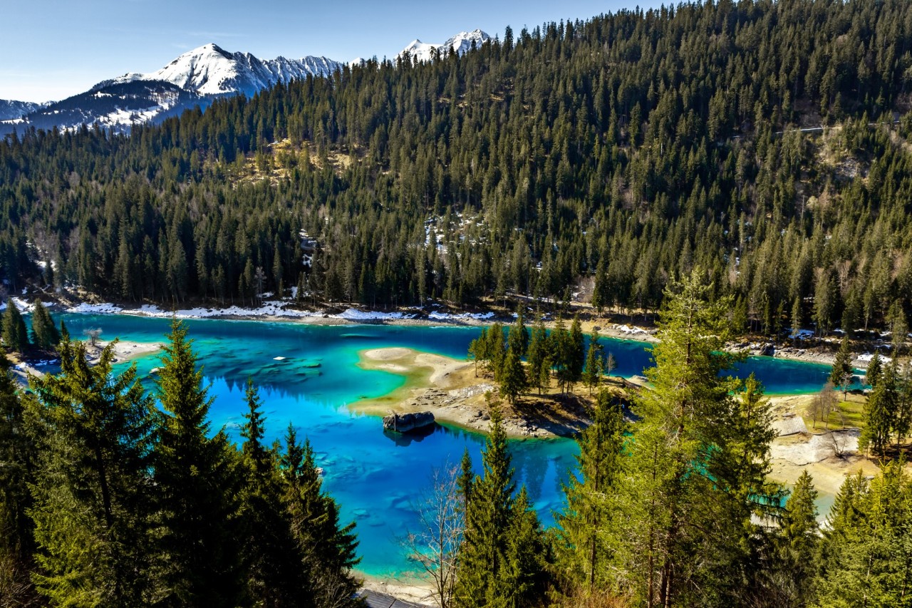 View from above of a turquoise lake surrounded by a dense fir forest. Snow-covered mountain peaks can be seen in the background.