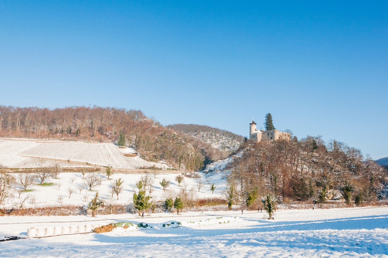 Snow-covered winter landscape with a castle standing atop a mountain, bare trees and vineyards 