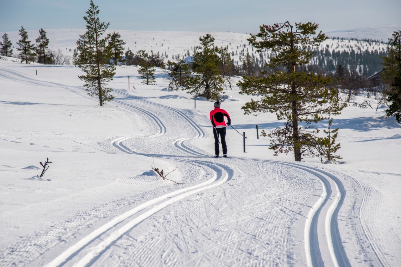 Skiing through Lapland 