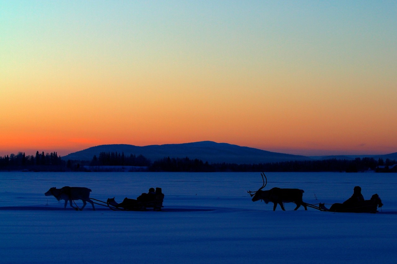 Two reindeer and sleighs pulling them, with people riding over a snow-covered landscape at sunset.