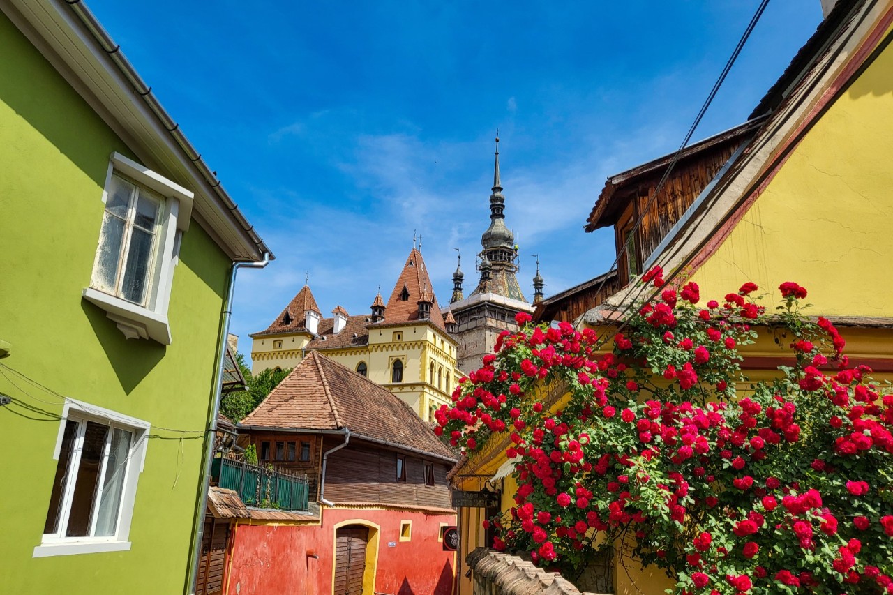  Yellow and red buildings next to one another with lush red flowers on a building wall in the foreground and church towers in the background. 