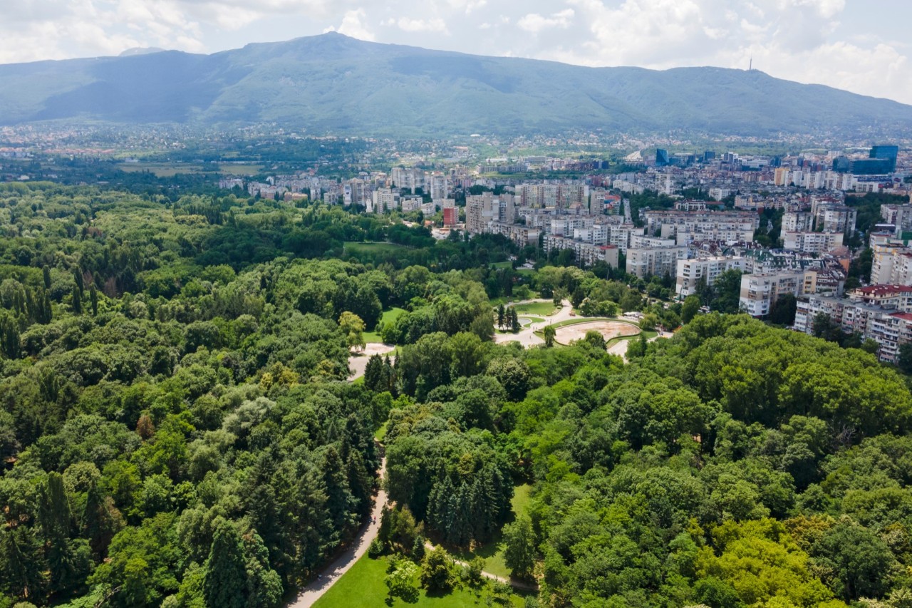 The picture shows a large, densely wooded park in the foreground, bordering an urban landscape with numerous residential buildings on the right-hand side of the picture. A mountain range can be seen in the background of the park and houses.
