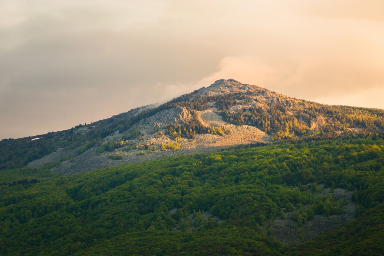 The picture shows a forested mountain in warm light. The top of the mountain is rocky, while the lower slopes are covered by dense forest.