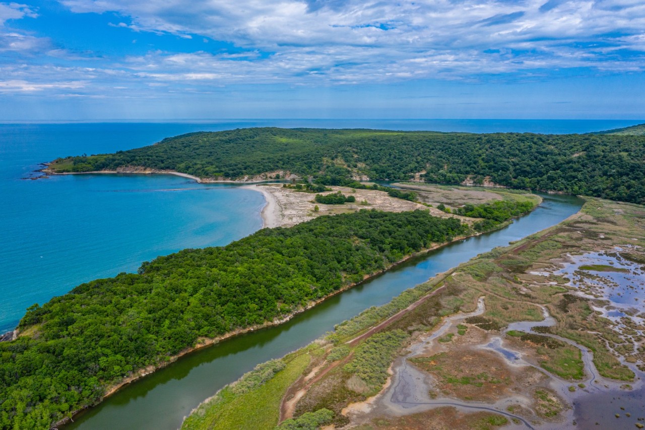 Bird's eye view of a coastal landscape with a river flowing into the sea. The surrounding area is covered in dense greenery and forest, with sandy areas and wetlands in the foreground. 