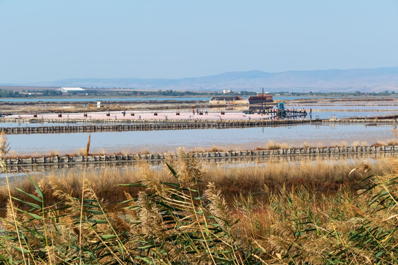 The picture shows a landscape with salt pans. There are reeds in the foreground, while several salt pans and workers can be seen in the background. The surroundings are flat, with hills on the horizon.