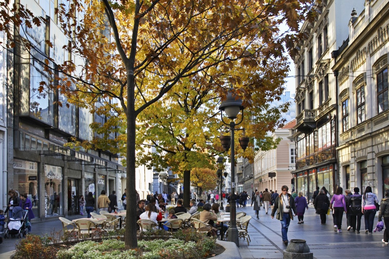 View of an urban pedestrian zone with many people out and about. Buildings and shops can be seen to the right and left. In the middle of the pedestrian zone are several trees with autumn-coloured foliage, in the centre of the picture you can see a historic street lamp.