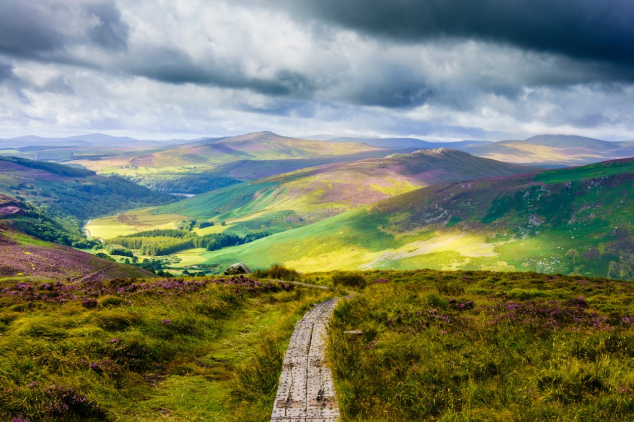 The green Wicklow Mountains © Monsieur Olivier/stock.adobe.com