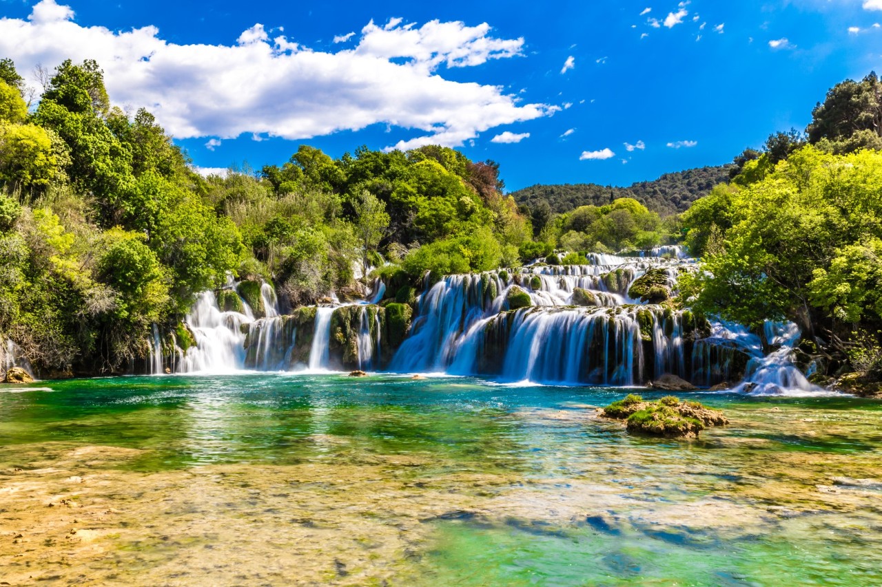 Wide waterfalls lead into a green-blue body of water interspersed with aquatic plants. Dense forests can be seen behind the waterfalls.