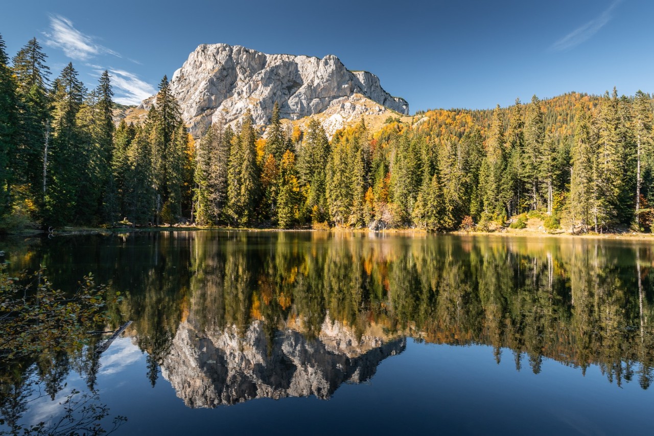 A tall, light-coloured rocky mountain and coniferous forest on a lakeshore are reflected in the lake's smooth water.