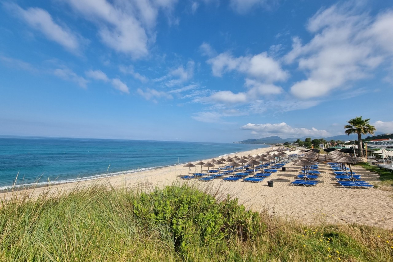 A long sandy beach by the sea with rows of blue deckchairs. Green plants grow in the foreground, and mountains and buildings can be seen in the background.