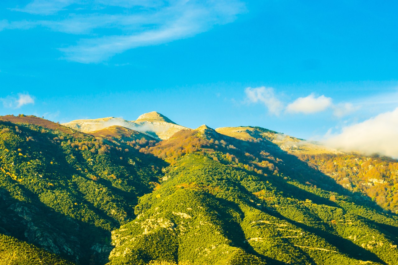 An extensive mountain landscape with gentle and partly steeper, densely forested slopes. The green ridges stretch to the horizon, above which a clear, bright blue sky with scattered clouds stretches.