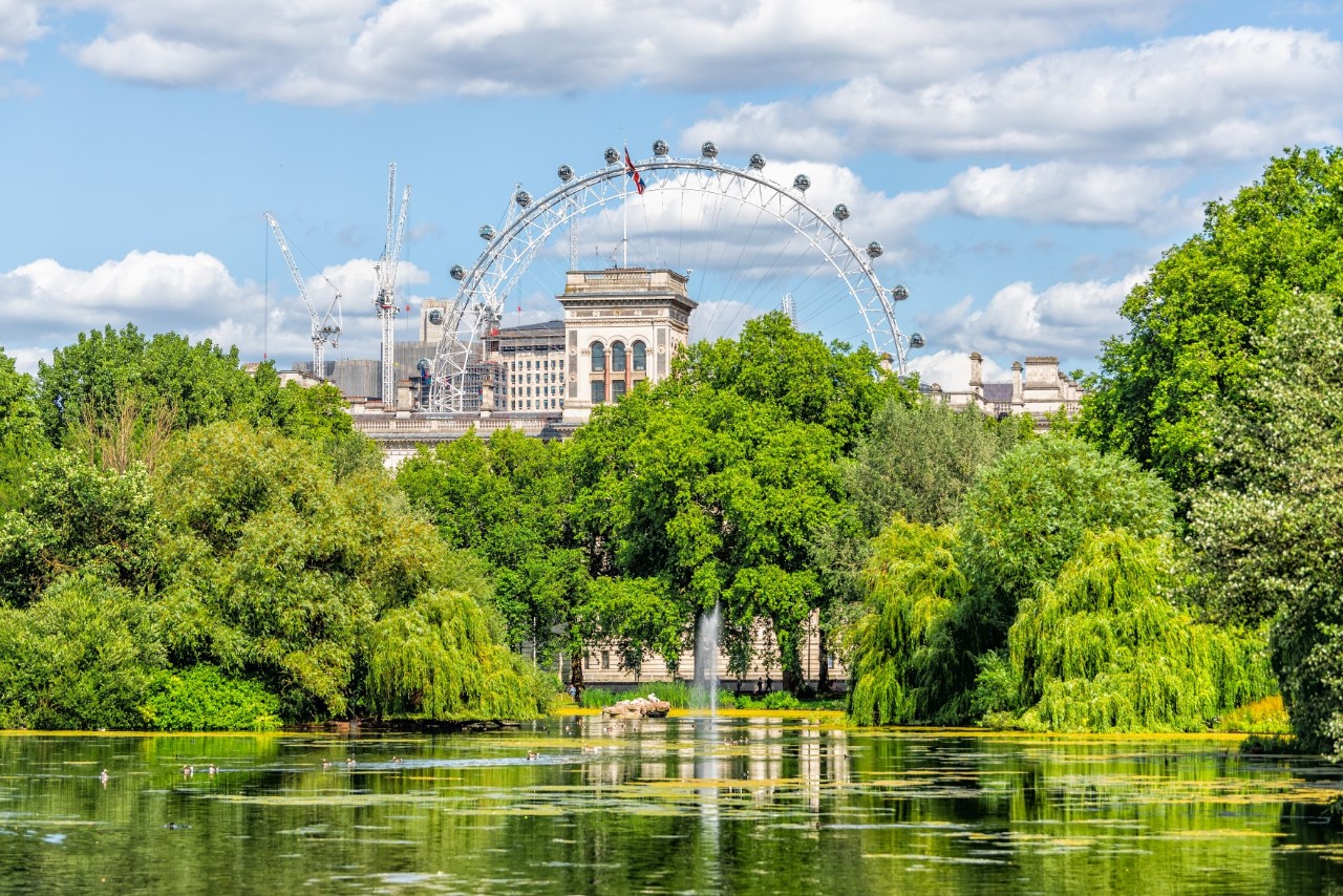 London Eye with park and pond in the foreground.
