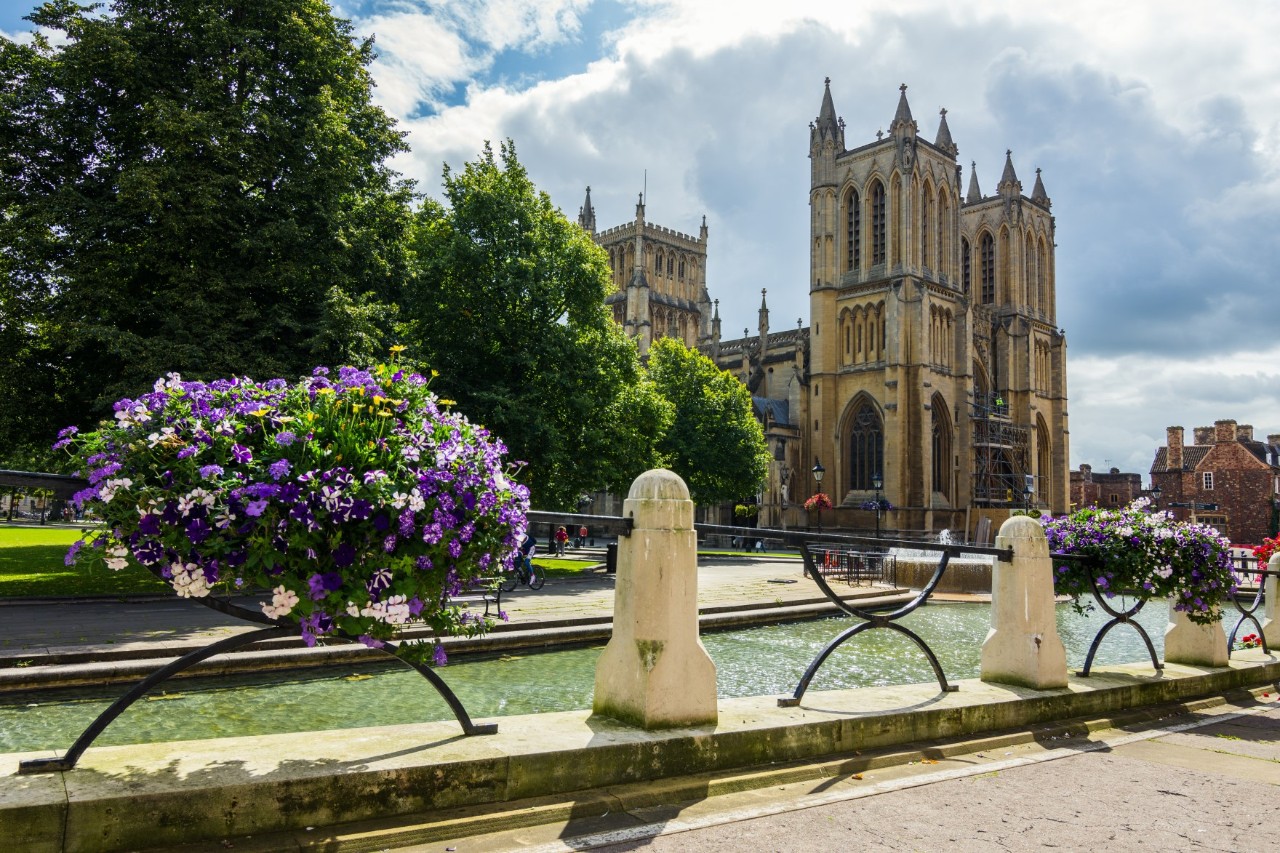The picture shows a Gothic cathedral with rich decorations and small towers, surrounded by lush greenery. In the foreground, there is a fountain with purple and white flower arrangements.