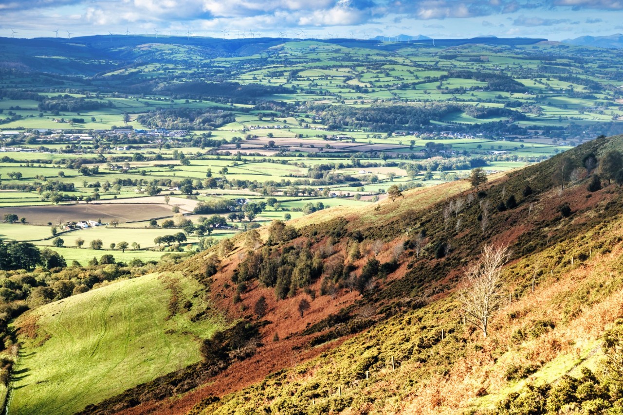 A hilly landscape with green fields, meadows and scattered trees. A slope can be seen in the foreground. In the background, a wide plain extends with small settlements and fields.
