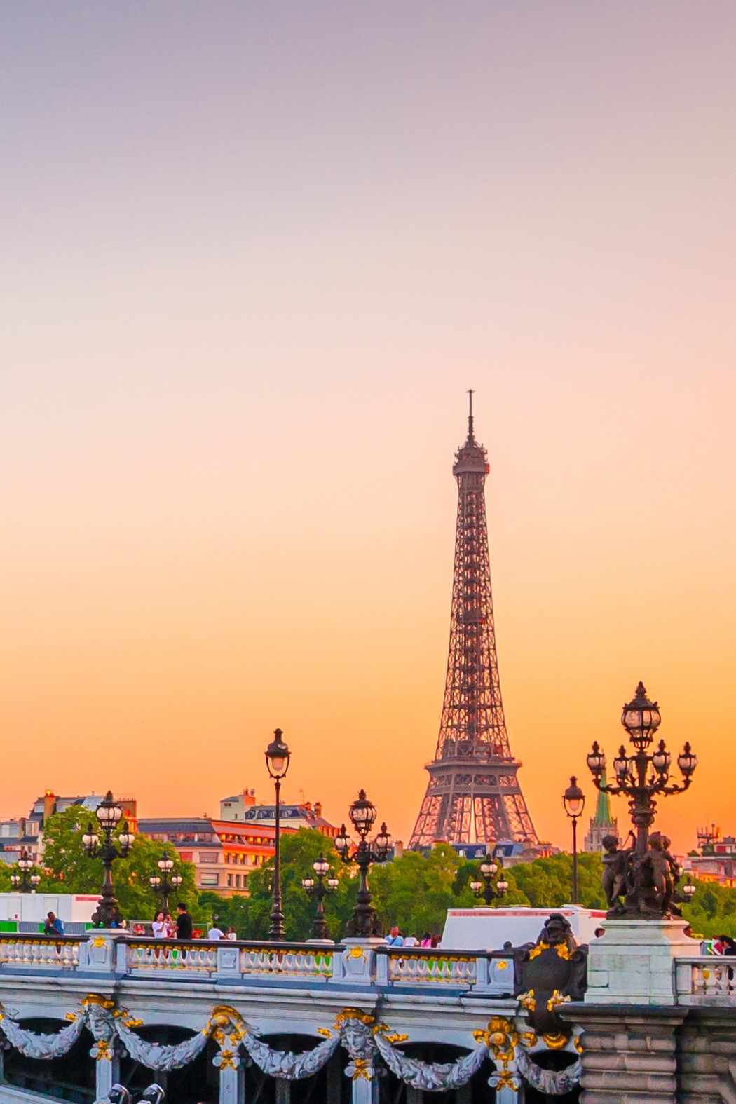 Pont Alexandre lll with the Eiffel Tower in the background 