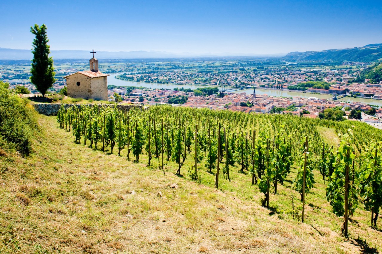 The wine region of the Rhône Valley © Richard Semik/stock.adobe.com