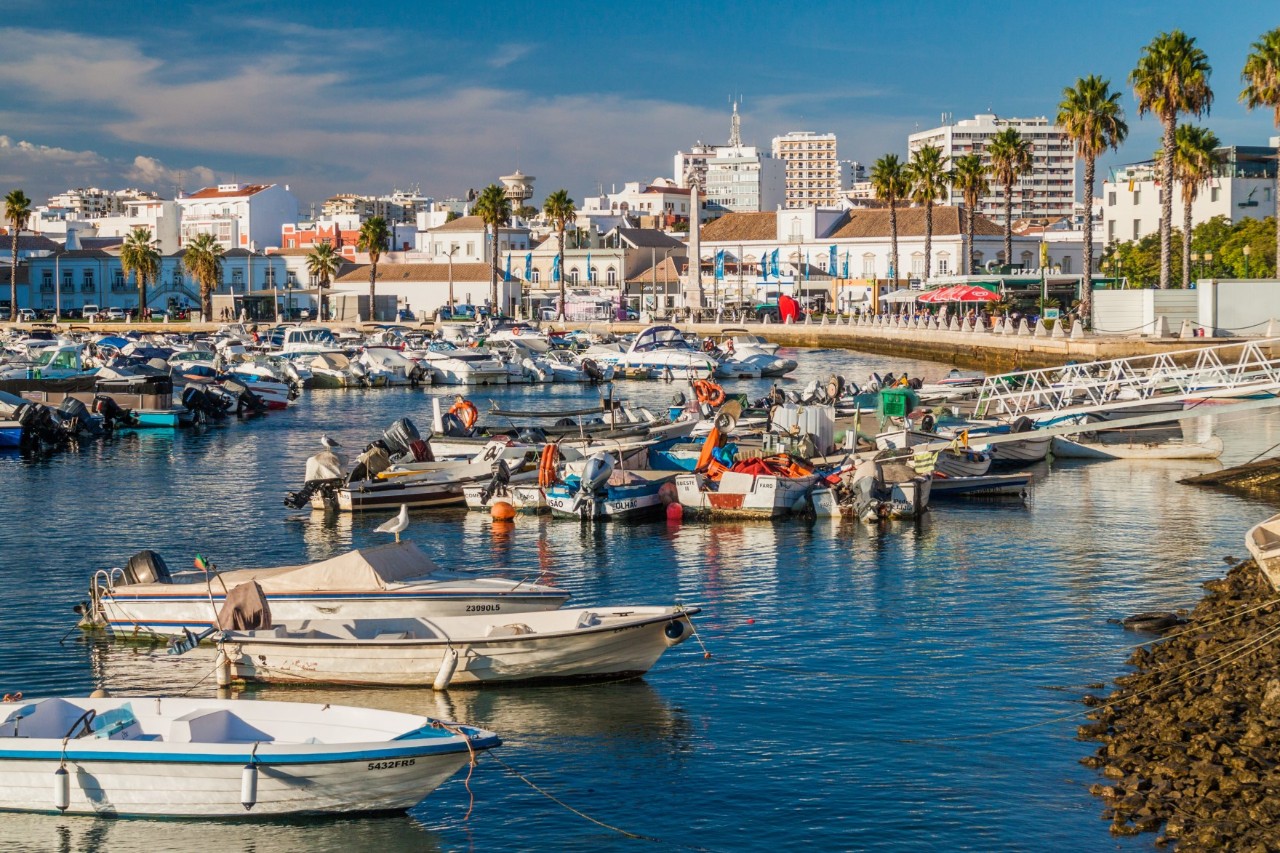 Marina harbor with small boats, promenade with white houses and palm trees, sea in the background. 
